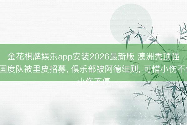 金花棋牌娱乐app安装2026最新版 澳洲秃顶强， 国度队被里皮招募， 俱乐部被阿德细则， 可惜小伤不停